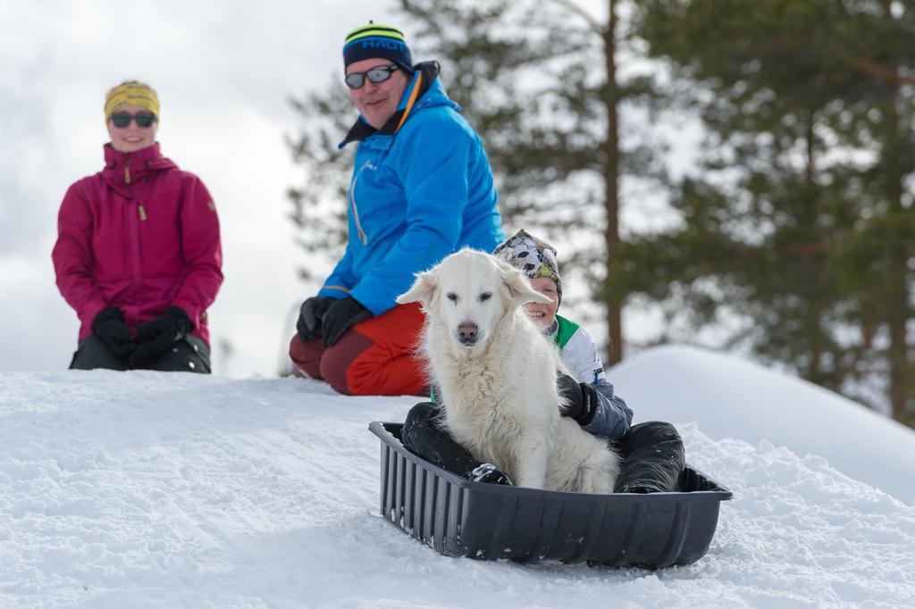 Villa Yllaeksen Yoepuu Äkäslompolo Esterno foto