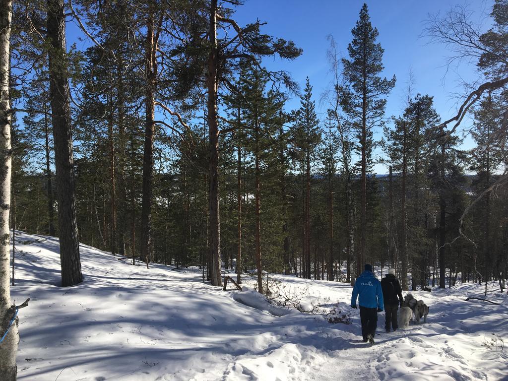 Villa Yllaeksen Yoepuu Äkäslompolo Esterno foto